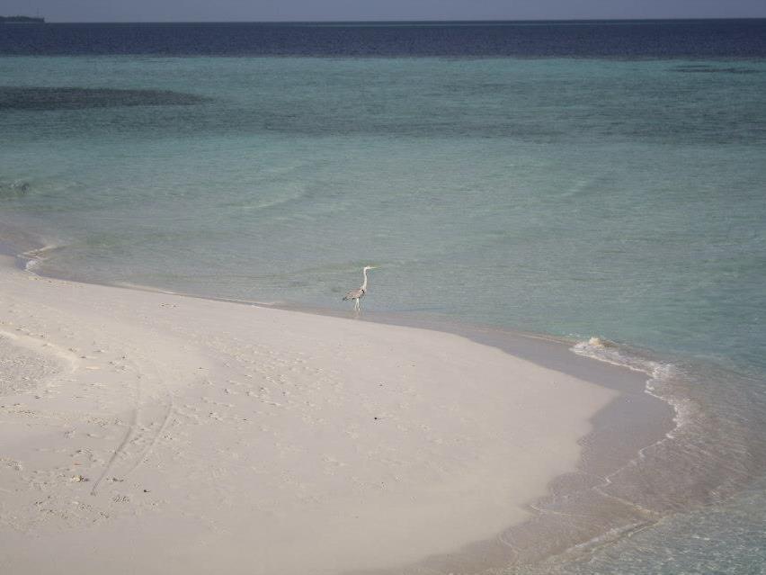 Fulidhoo La Perla Guest House Luaran gambar