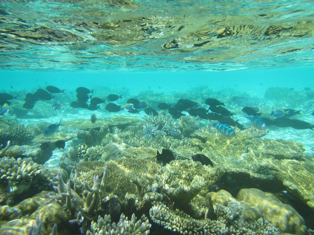 Fulidhoo La Perla Guest House Luaran gambar