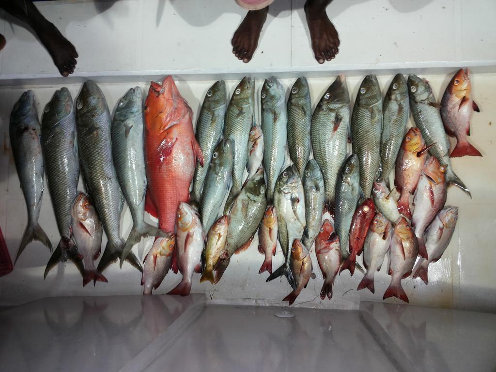 Fulidhoo La Perla Guest House Luaran gambar